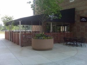 Patio Canopies Feature